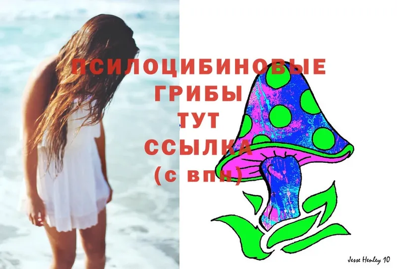 Галлюциногенные грибы Magic Shrooms  где купить   Полевской 